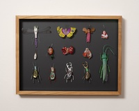Matthias Garff · „Insektenkasten (Mexiko III)” · 2023 · Fundstücke in Objektkasten · 30 x 40 cm