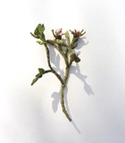 Anne Carnein · No. 2 „Awakening rose” · 2019 · Stoff, Garn, Draht · 14 x 8 x 5 cm