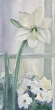 Dorothea Schrade · „Amaryllis - die Erste” · 2022 · Öl auf Leinwand · 80 x 40 cm