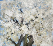 Dorothea Schrade, Alter Apfelbaum in junger Blüte, 2022/23, Öl auf Leinwand, 70 x 80 cm