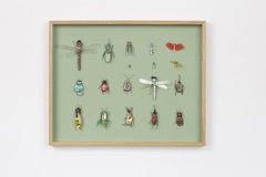 Matthias Garff, Insektenkasten, August II, 2020, Fundmaterial, 51 x 42 cm