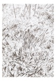 Georg Thumbach, O.T., Kohle auf Papier, 61x43 cm