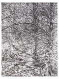 Georg Thumbach, O.T., Kohle auf Papier, 200x152 cm