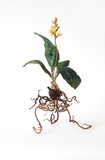 Anne Carnein · Der Tanz · 2024 · Stoff, Garn, Draht · 40x30x30 cm