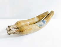 Chiquita, 2023, Keramik, Engobe, Glasur,40x13x15 cm