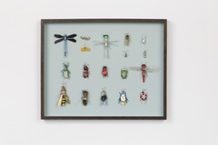 Matthias Garff, Insektenkasten, August III, 2020, Fundmaterial, 51 x 42 cm