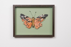 Matthias Garff, Distelfalter, 2020, Fundmaterial, 20 x 25 cm