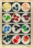 Patrick Pilsl · „Bakterien” · 2023 · Acryl auf Buchseite · 22 x 16 cm