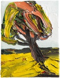Harry Meyer · „Baum” · 2008 · Öl auf Leinwand · 40 x 30 cm